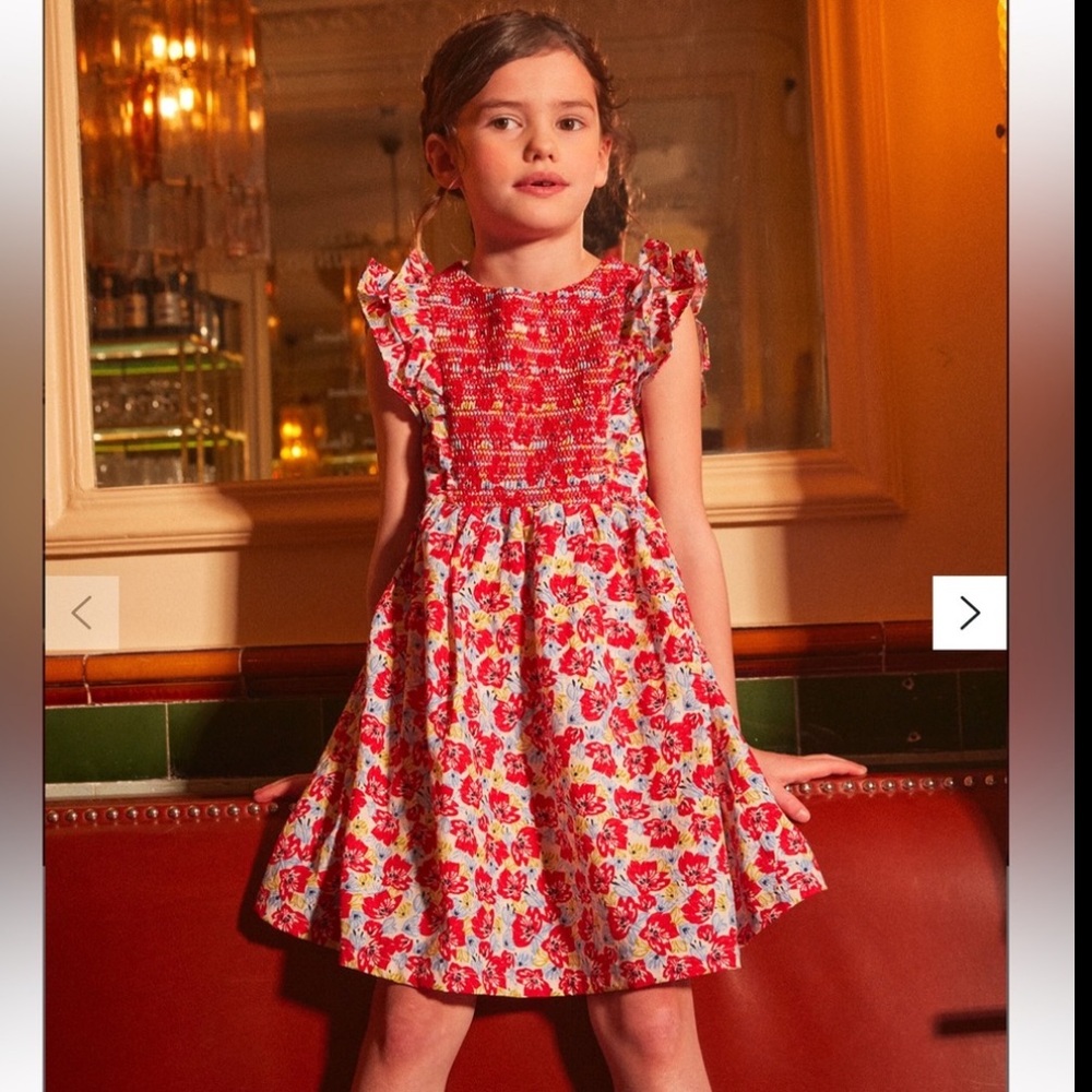 Sergent Major Ruffle Sleeve Smocked Dress